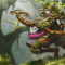 10 Simple Steps For Building A Pro Deck!